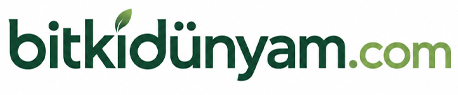 Opencart Uzmanı Eczane ve Medikal Teması