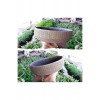 2 Adet Londra Dizayn Beton Aranjman ve Bonsai Saksısı Çiçek Desen Ağız Çap 20-30 cm çap 2 Adet Londra Dizayn Beton Aranjman ve Bonsai Saksısı Çiçek Desen Ağız Çap 20-30 cm çap