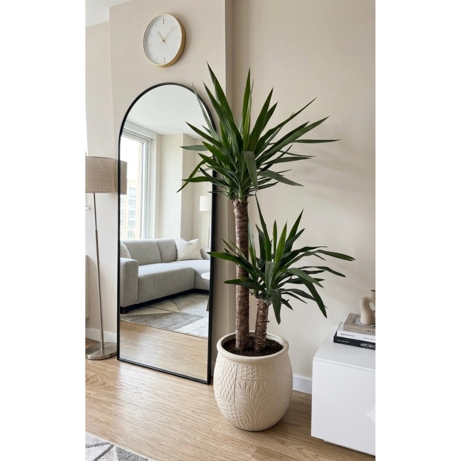 Ceka Botanik Çiftgövdeli Yuka (Yucca) Bitkisi - Modern Salon ve Ofis Çiçeği