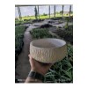 Kırçıllı taş Orkide bonsai ve aranjman saksısı no 1