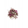Tradescantia Zebrina Saksıda