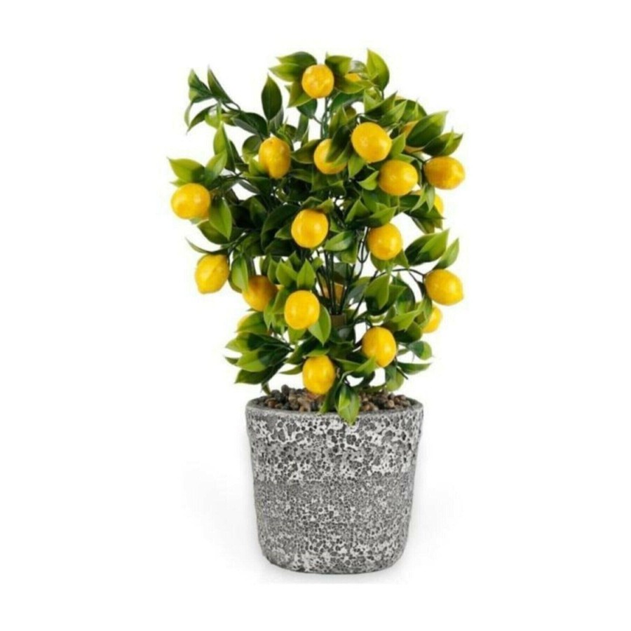 Dekoratif Beton Saksıda Büyük Boy Yapay Limon Ağacı