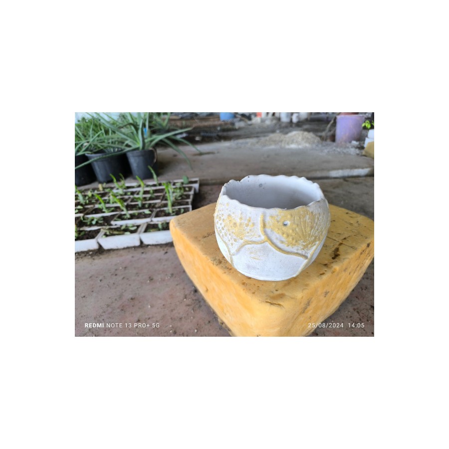 Yaprak desenli Beton orkide aranjman ve bonsai saksısı