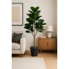 YAPAY KAUÇUK AĞACI 150 CM DEKORATİF, MODERN , İÇ MEKAN BİTKİSİ