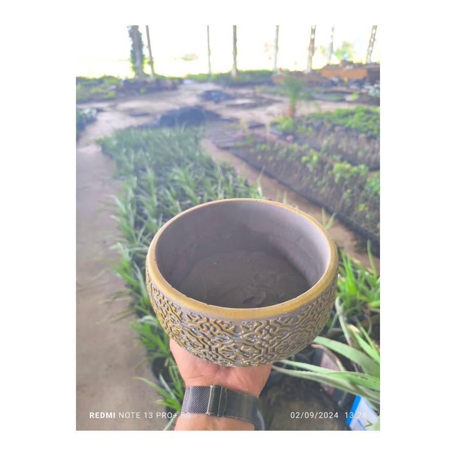 Altın desen beton bonsai aranjman ve Orkide saksısı