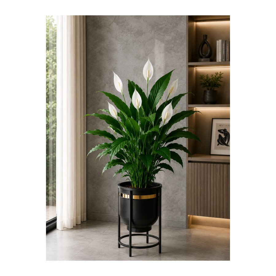 Bitkidunyam Mat Altın Detaylı Metal Ayaklı Saksı, Silindirik, Modern Tasarım, 45x29cm, No:9