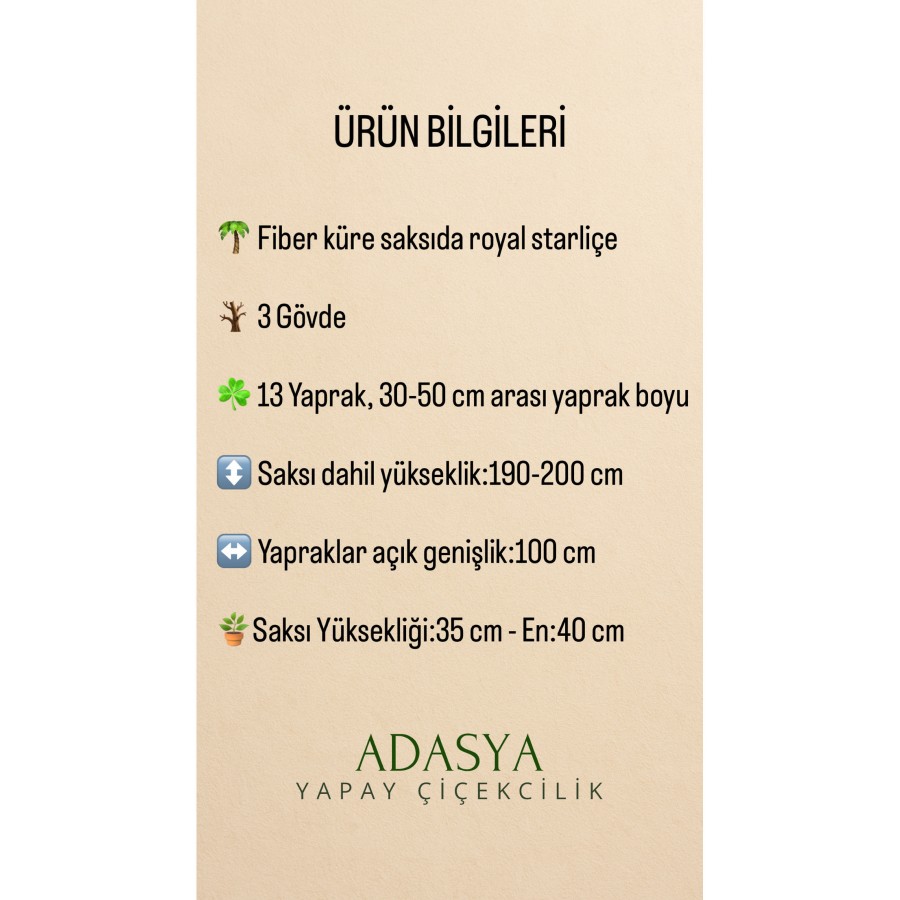 Yapay Royal Starliçe Ağacı 190 CM 13 Yaprak Krem Fiber Küre Saksıda Yapay Royal Starliçe Ağacı 190 CM 13 Yaprak Krem Fiber Küre Saksıda