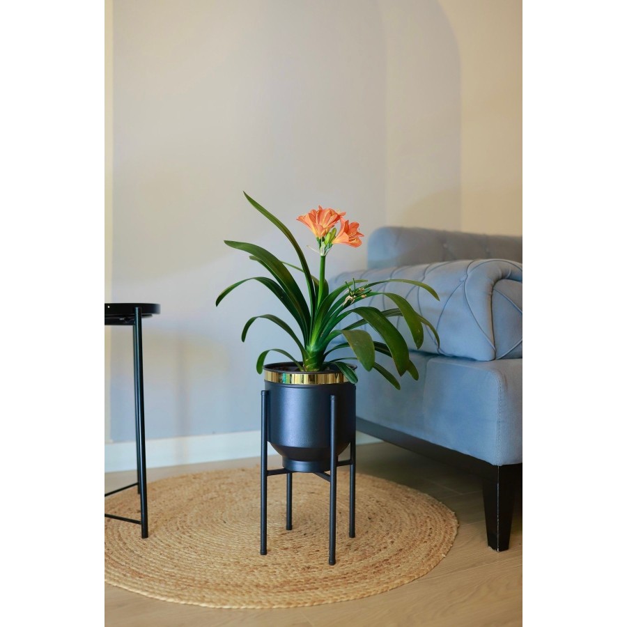 Metal Saksı Ayaklı Çiçeklik Siyah Gold Detaylı Dekoratif Saksı Vazo Saksılık 41x21cm Metal Saksı Ayaklı Çiçeklik Siyah Gold Detaylı Dekoratif Saksı Vazo Saksılık 41x21cm