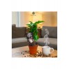 ???? İthal Coffee Arabica – Kahve Bitkisi (25-35 cm) | Özel Seçim