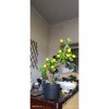 Gerçek Gövdeli Yapay Limon Bonsai 35 cm Dekoratif Saksılı Gerçekçi Masaüstü Bitki