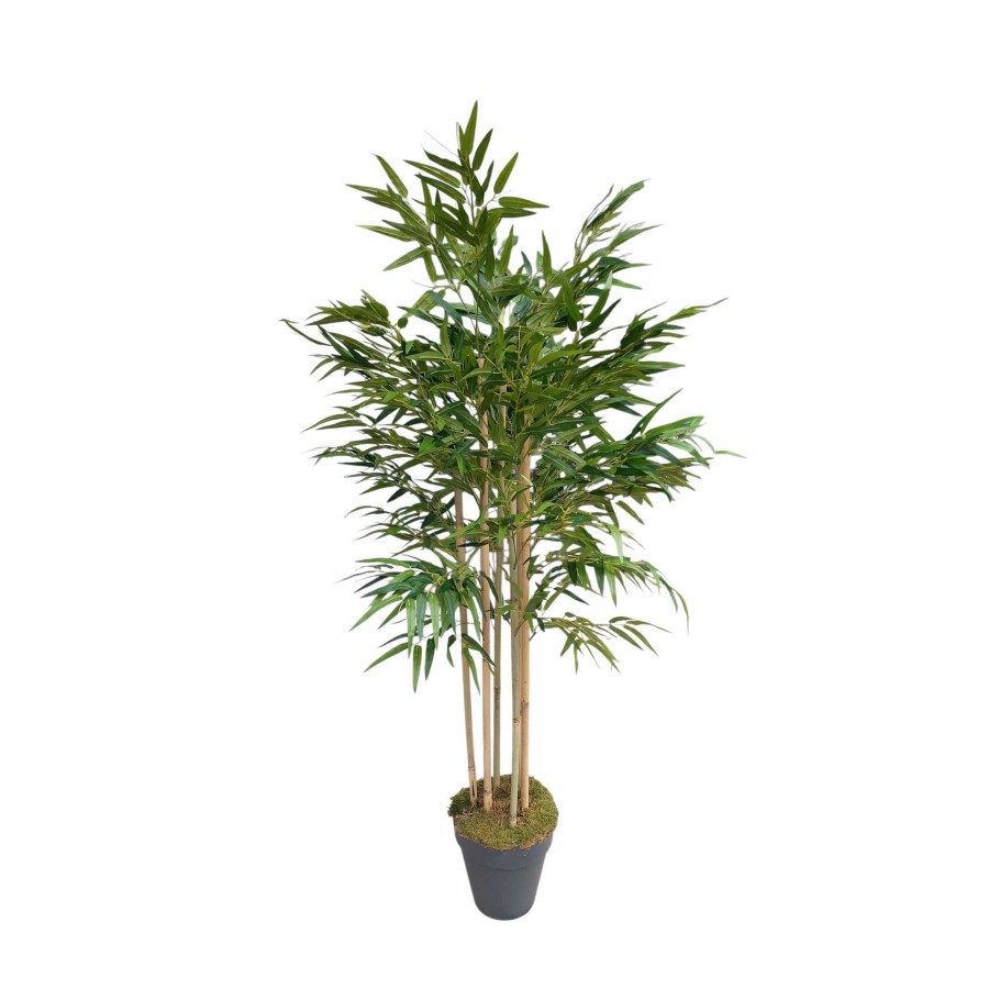YAPAY BAMBU 6 GÖVDELİ LÜKS YAPRAKLI 160 CM BOYUNDA DEKORATİF MODERN AĞAÇ