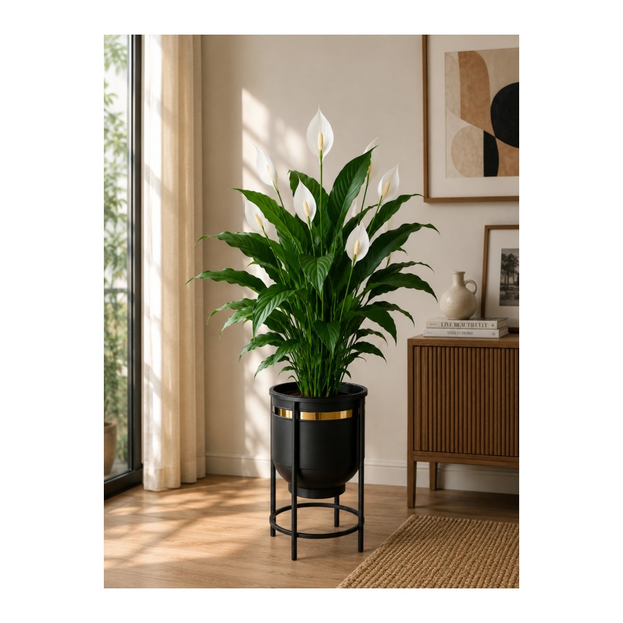 Bitkidunyam Mat Altın Detaylı Metal Ayaklı Saksı, Silindirik, Modern Tasarım, 45x29cm, No:9