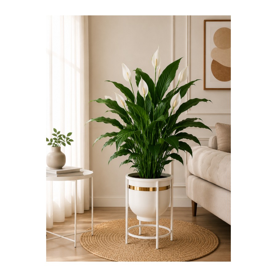 Bitkidunyam Mat Altın Detaylı Metal Ayaklı Saksı, Silindirik, Modern Tasarım, 45x29cm, No:9